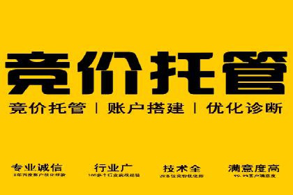 百度推广运营实战技巧：案例教学与实战